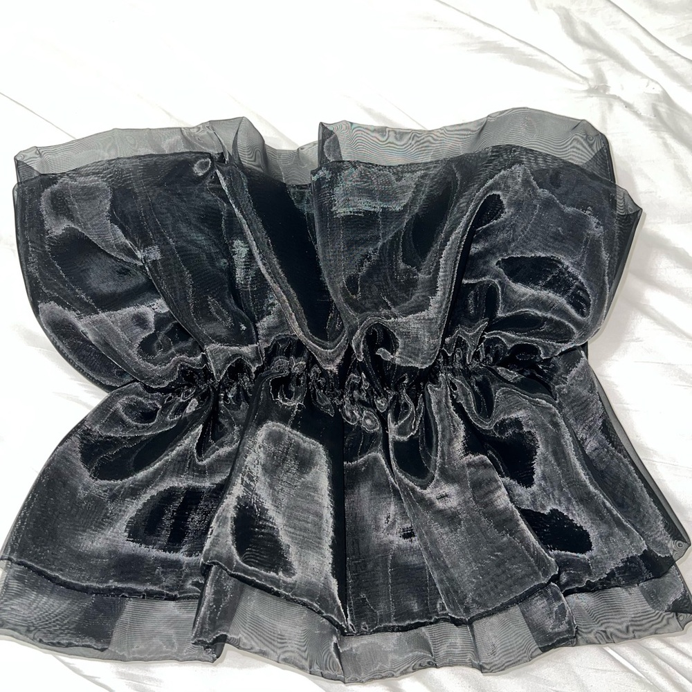 Zara Black Sheer Crop Top